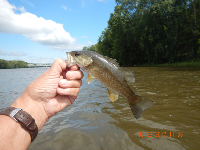 DSCN2297 (1).jpg - Can't say the fish were hitting better in one place or another.  We got them all over.                               